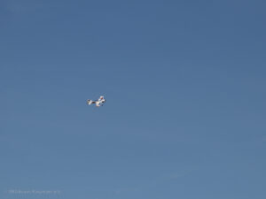 MFG Ikarus Marpingen-05