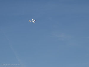 MFG Ikarus Marpingen-06