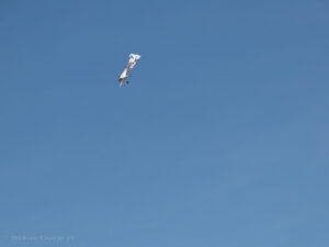 MFG Ikarus Marpingen-10