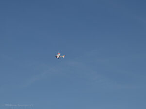 MFG Ikarus Marpingen-10